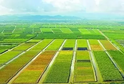文章附图